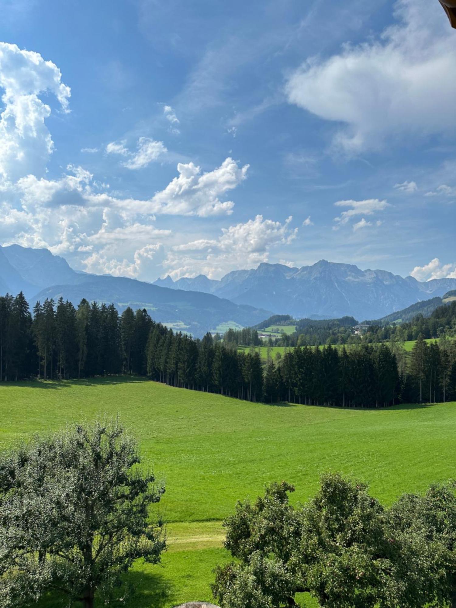 Frische Bergluft Und Laendlicher Charme - Ihr Aktiver Urlaub Am Muehlauhof Mühlbach am Hochkönig Extérieur photo